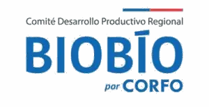 logo_corfo_biobio_blank