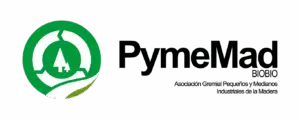 logo_pymemad